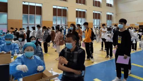 麻城董姐爆料最新消息,最新消息揭秘  第3张