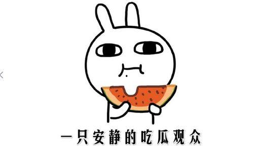 吃瓜免费事件 第2张 吃瓜免费事件 第2张